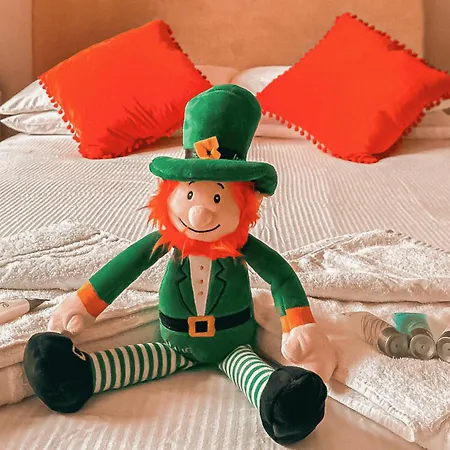 بيت شباب Gardiner House دبلن